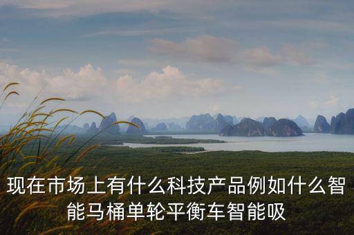 現(xiàn)在市場上有什么科技產(chǎn)品例如什么智能馬桶單輪平衡車智能吸