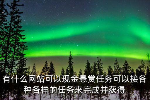 有什么網(wǎng)站可以現(xiàn)金懸賞任務可以接各種各樣的任務來完成并獲得