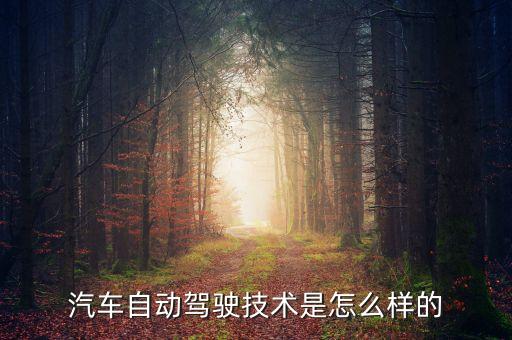 智能汽車自動駕駛，什么是汽車自動駕駛?cè)绾瓮ㄋ滓锥乩斫馄涔δ芗霸鞟utopilot  搜