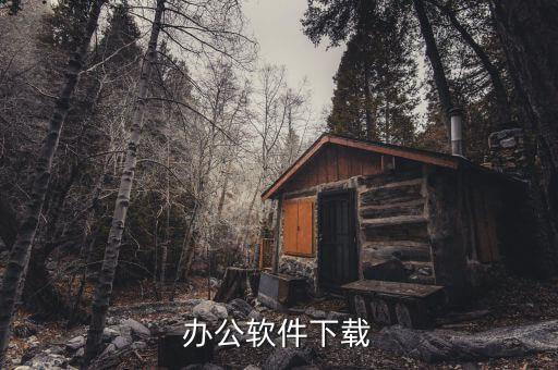 泛微oa系統(tǒng)，泛微的簡介