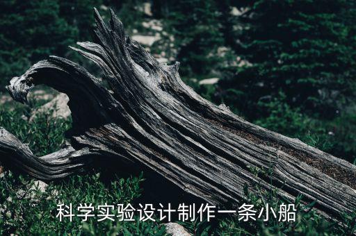 科學(xué)實(shí)驗(yàn)設(shè)計(jì)制作一條小船