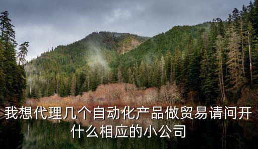 我想代理幾個(gè)自動(dòng)化產(chǎn)品做貿(mào)易請(qǐng)問開什么相應(yīng)的小公司