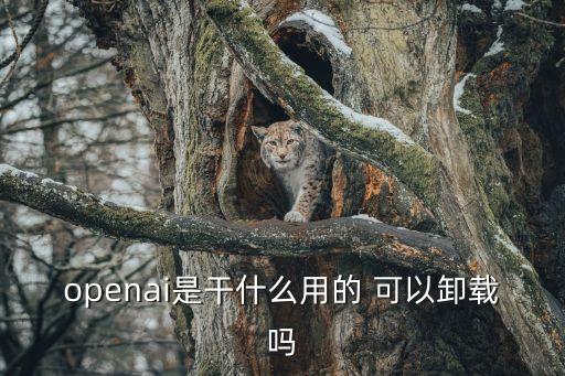 openai是干什么用的 可以卸載嗎