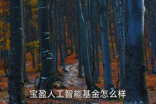 寶盈人工智能基金怎么樣