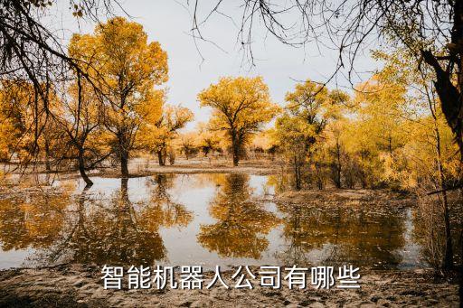 智能機器人企業(yè)排名 AI，智能機器人公司有哪些