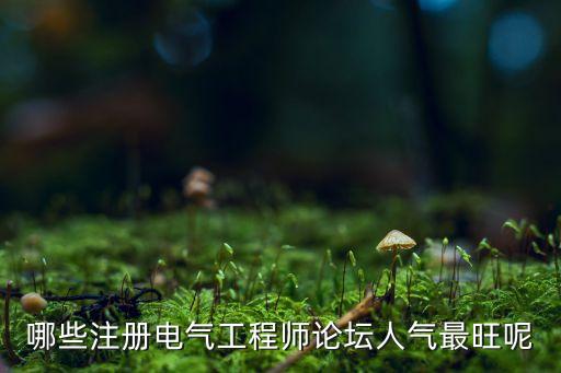 哪些注冊電氣工程師論壇人氣最旺呢