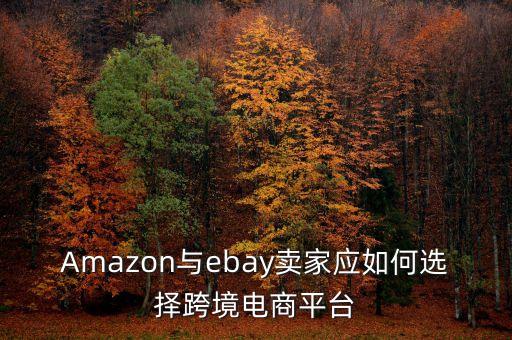 Amazon與ebay賣家應(yīng)如何選擇跨境電商平臺(tái)