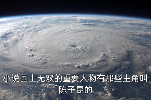小說國士無雙的重要人物有那些主角叫陳子昆的