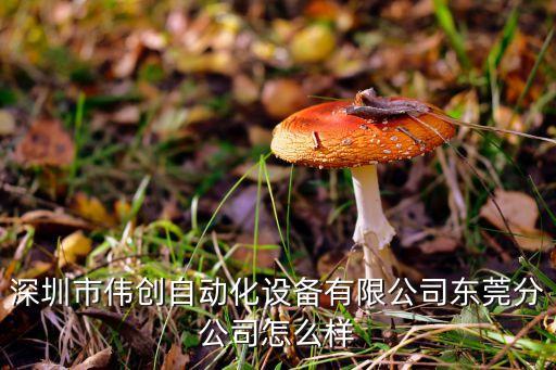 深圳市偉創(chuàng)自動化設(shè)備有限公司東莞分公司怎么樣
