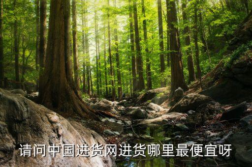 全國最便宜的進貨平臺，什么購物網(wǎng)東西最便宜