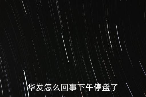 華發(fā)怎么回事下午停盤(pán)了