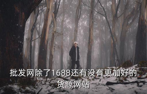 批發(fā)網(wǎng)除了1688還有沒有更加好的貨源網(wǎng)站