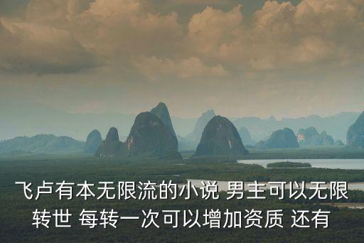 飛盧有本無限流的小說 男主可以無限轉(zhuǎn)世 每轉(zhuǎn)一次可以增加資質(zhì) 還有