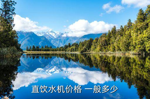大型直飲水機(jī)多少錢一臺(tái)，直飲水機(jī)價(jià)格 大概多少