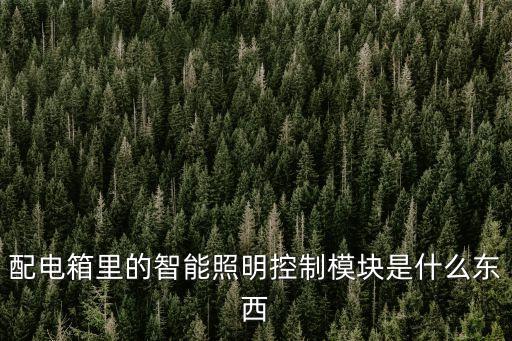 配電箱里的智能照明控制模塊是什么東西