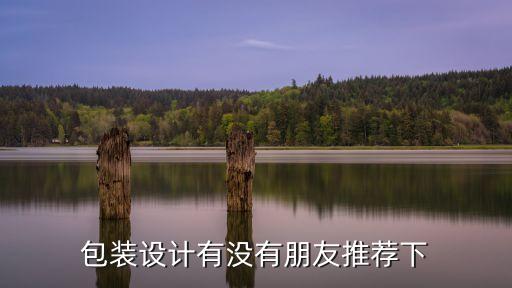 包裝設(shè)計有沒有朋友推薦下
