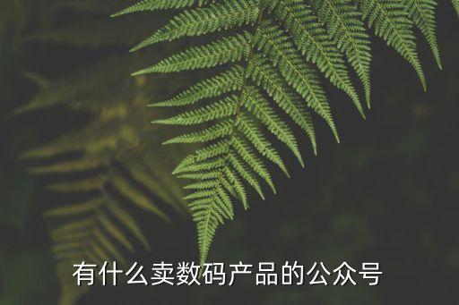 有什么賣數(shù)碼產(chǎn)品的公眾號(hào)