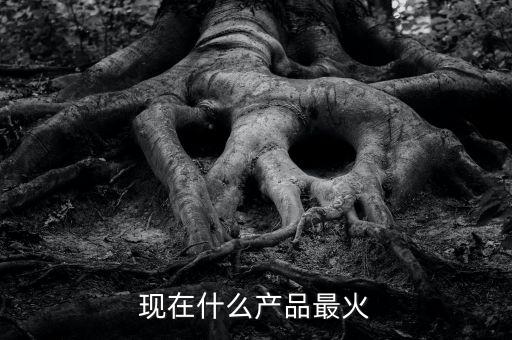現(xiàn)在什么產(chǎn)品最火