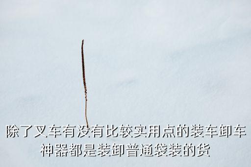 除了叉車有沒有比較實用點的裝車卸車神器都是裝卸普通袋裝的貨