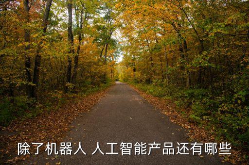 除了機(jī)器人 人工智能產(chǎn)品還有哪些