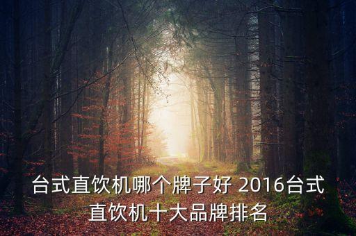 臺式直飲機哪個牌子好 2016臺式直飲機十大品牌排名