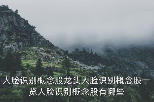 人臉識(shí)別概念股龍頭人臉識(shí)別概念股一覽人臉識(shí)別概念股有哪些
