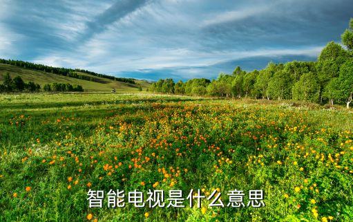 智能電視是什么意思