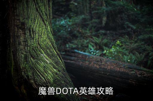 魔獸DOTA英雄攻略