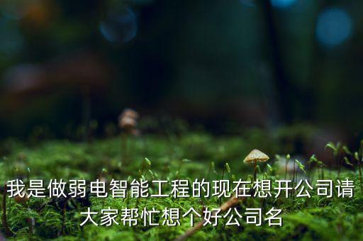 我是做弱電智能工程的現(xiàn)在想開(kāi)公司請(qǐng)大家?guī)兔ο雮€(gè)好公司名