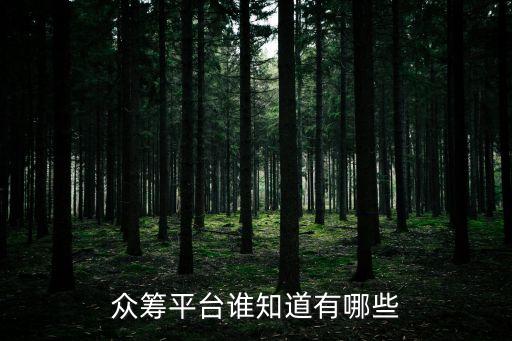 個人創(chuàng)業(yè)眾籌平臺，眾籌項目哪一個平臺比較好