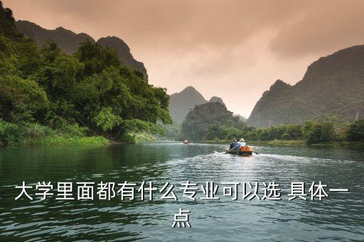 大學(xué)里面都有什么專業(yè)可以選 具體一點(diǎn)
