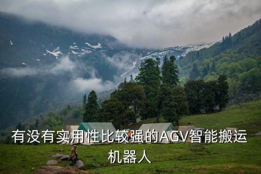 有沒有實用性比較強的AGV智能搬運機器人
