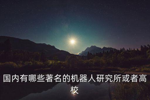 國內(nèi)有哪些著名的機器人研究所或者高校