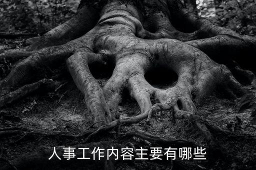 人事工作內(nèi)容主要有哪些