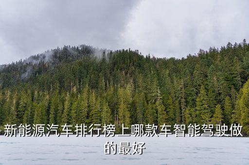 自動(dòng)駕駛功能最好的汽車，什么牌子的汽車自動(dòng)系統(tǒng)較好