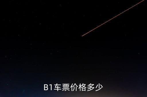 B1車票價格多少