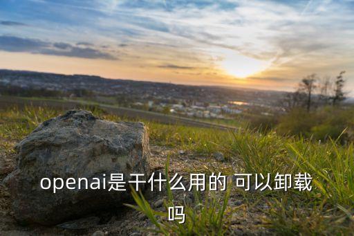 openai是干什么用的 可以卸載嗎