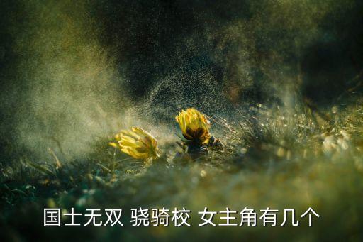 國士無雙 驍騎校 女主角有幾個