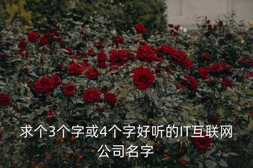 求個(gè)3個(gè)字或4個(gè)字好聽的IT互聯(lián)網(wǎng)公司名字