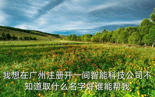 我想在廣州注冊開一間智能科技公司不知道取什么名字好誰能幫我