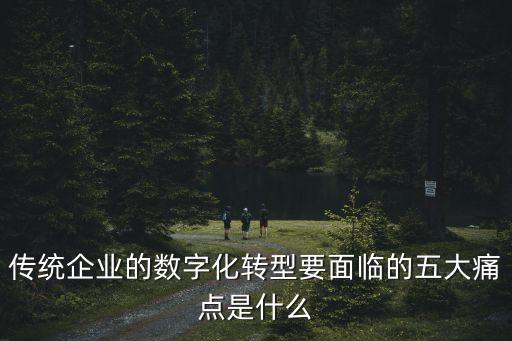 傳統(tǒng)企業(yè)的數(shù)字化轉(zhuǎn)型要面臨的五大痛點(diǎn)是什么