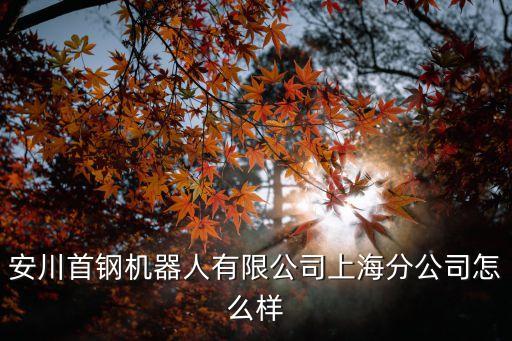安川首鋼機器人有限公司上海分公司怎么樣