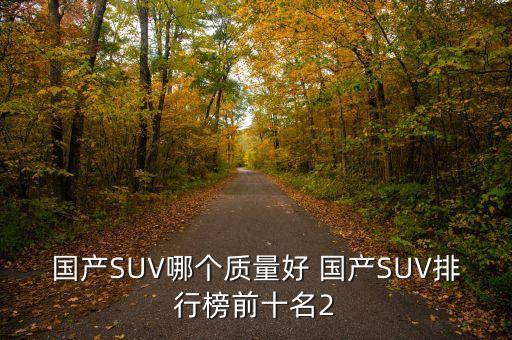國產(chǎn)SUV哪個質(zhì)量好 國產(chǎn)SUV排行榜前十名2