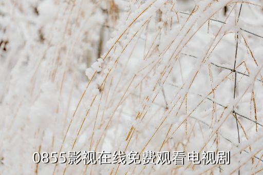 0855影視在線免費(fèi)觀看電視劇