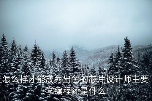 怎么樣才能成為出色的芯片設計師主要學編程還是什么