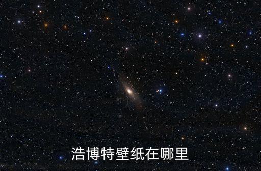 浩博特壁紙在哪里