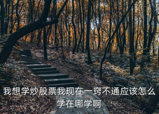 我想學(xué)炒股票我現(xiàn)在一竅不通應(yīng)該怎么學(xué)在哪學(xué)啊