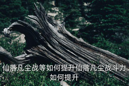 仙落凡塵戰(zhàn)等如何提升仙落凡塵戰(zhàn)斗力如何提升