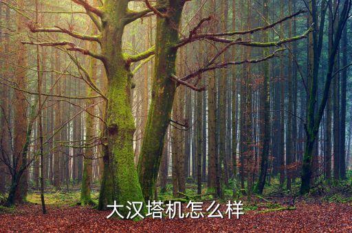 大漢加工中心質(zhì)量怎么樣，大漢塔機(jī)怎么樣