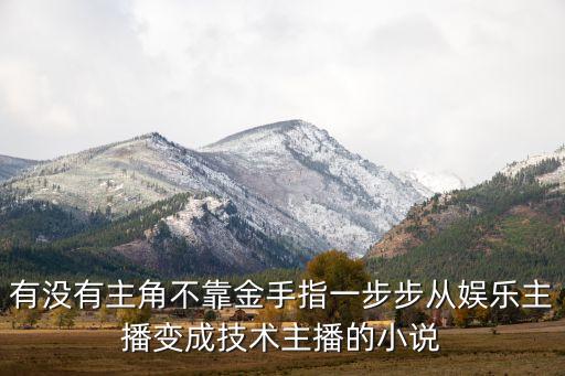 有沒有主角不靠金手指一步步從娛樂主播變成技術(shù)主播的小說